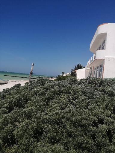 Apartamento 4 El Paraiso De Capitan Fernando Apartament Chelem Zewnętrze zdjęcie